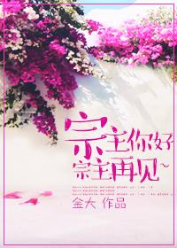 宗主去哪了