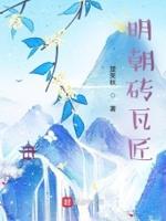 明朝的城墙砖多少钱