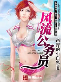 风流公务员阅读
