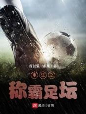重生之称霸足坛 米兰补锅匠