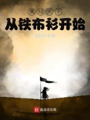 横扫天下从铁布衫开始全文免费阅读