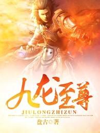 九龙至尊酒