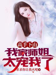 叶北辰九十九位师傅的免费阅读