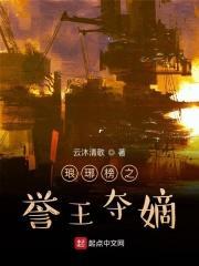 琅琊榜誉王赈灾的事怎么样