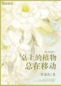 植物在桌子上的英文