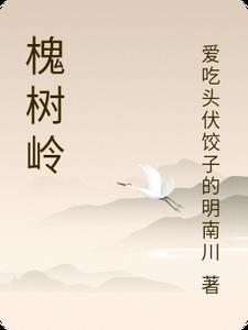 槐树岭邮编