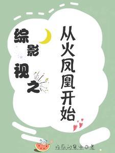 综穿影视剧火凤凰