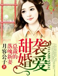 甜婚袭爱总裁的落魄新妻月容公子