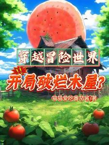 木屋游戏攻略
