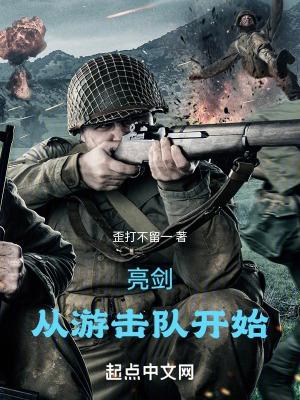 亮剑游击战