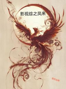 综影视之风无