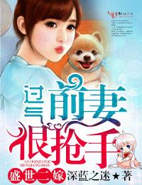 盛世二婚总裁狂宠妻