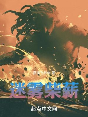迷雾简介