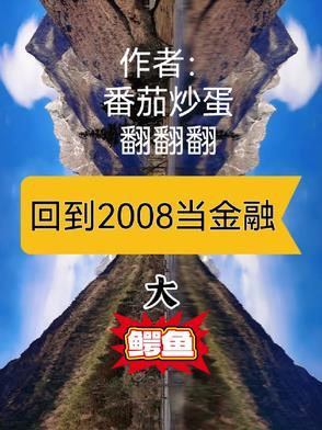 回到2008年怎么快速赚钱