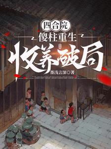 四合院傻柱的