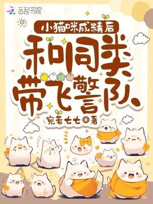 和同类带飞警队免费