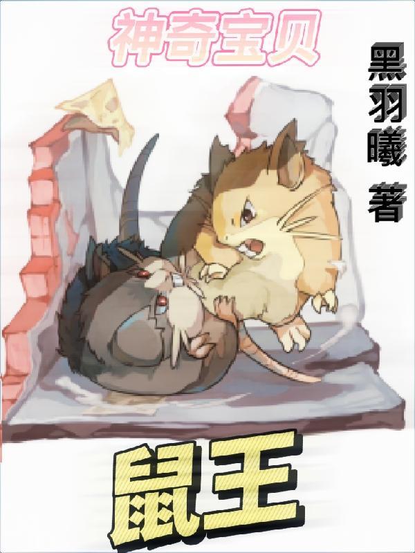 神奇宝贝的老鼠叫什么