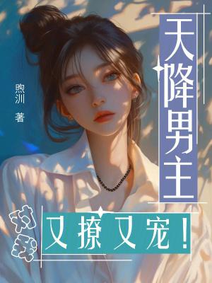 天降男妻