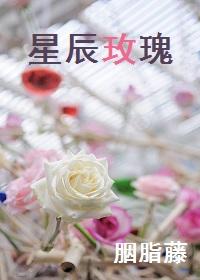 星辰玫瑰免费阅读