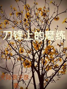 刀锋的风
