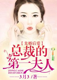 先婚后爱总裁的第一夫人免费阅读