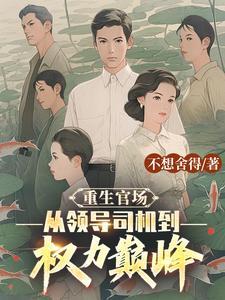 重生到官场的大全