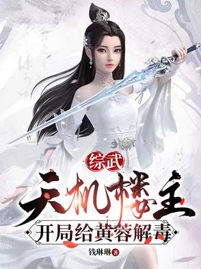 综武开局天机阁主角叶