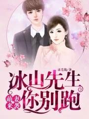 冰山总裁小萌妻全文阅读免费