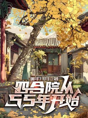 四合院从55年开始三个皮夹子