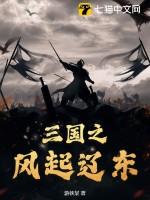 三国之风起南海