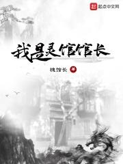 我是灵官馆长