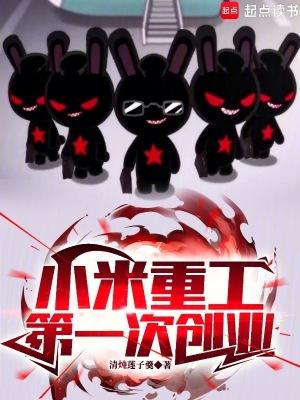 小米重新创业的原因
