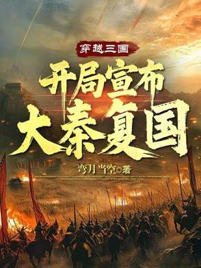 三国之大秦再起