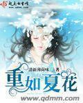 重生之如夏花免费阅读