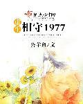 重生相守1977全文