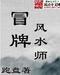 假的风水大师