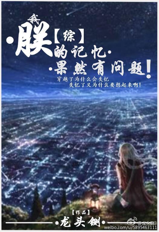 朕的记忆果然有问题完结