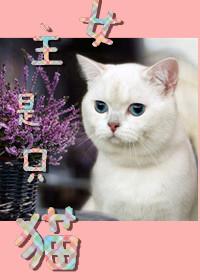 女主是一只猫的