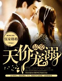 天价宠妻是什么