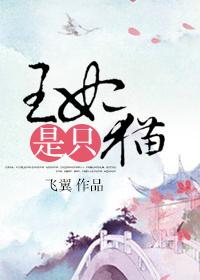 王妃是只猫网剧
