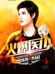 火爆医少叶天林紫烟