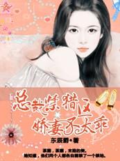 禁锢娇妻偏执总裁宠上瘾