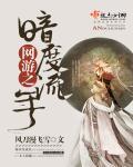 网游之暗影刺客