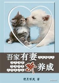 吾家有妻骄养成作者明月听风