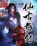 仙古奇韵属于什么档次