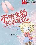 不明生物汉化