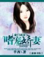 豪门掠爱甜妻宠上瘾