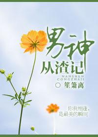 从男神开始成为