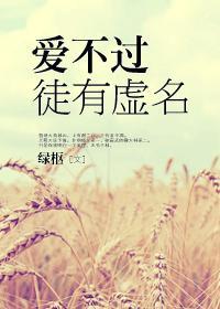 爱不过徒有虚名绿枢阅读