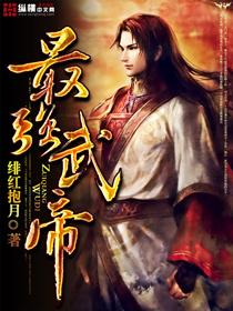 最强武帝杨奇全文